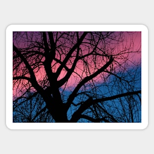 Sunset Pinks and Blues Sticker